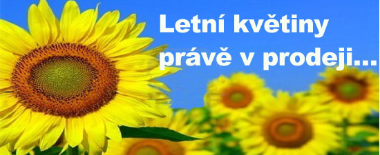 Letn� kv�tiny