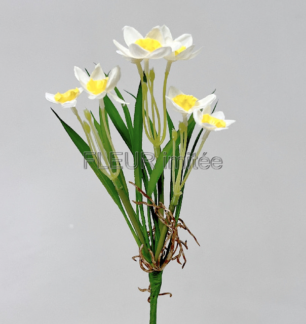 Jarní mix x3 22cm  24/288