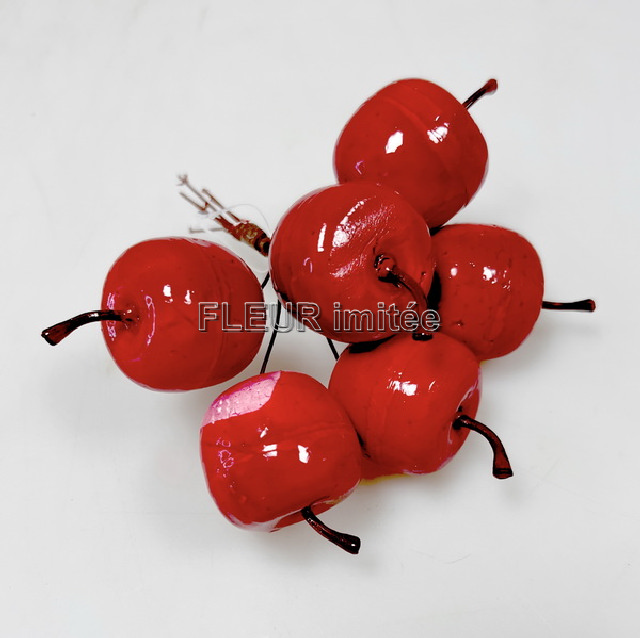 Jablko S6 25mm/13cm   12/144