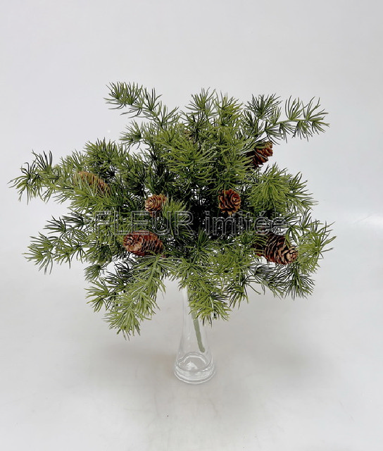 Modřín x12 48cm  6/48