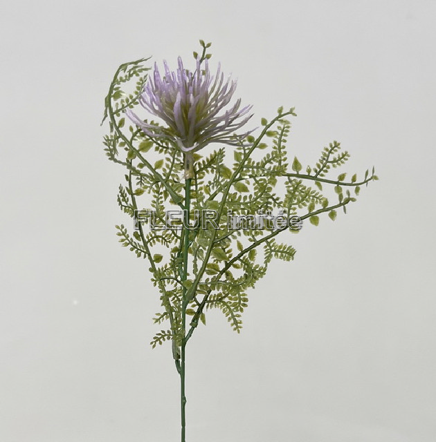 Oset s kapradím 40cm 12/144