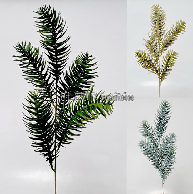 Chvojí jedle 58cm 48/480