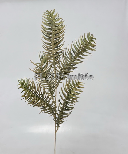 Chvojí jedle 58cm 48/480