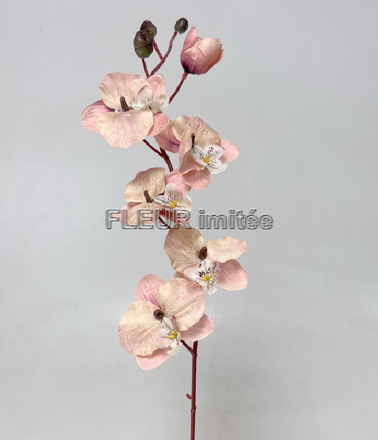  Orchidea 77cm 12/144