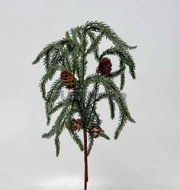 Chvojí větev se šišk.42cn  24/240.