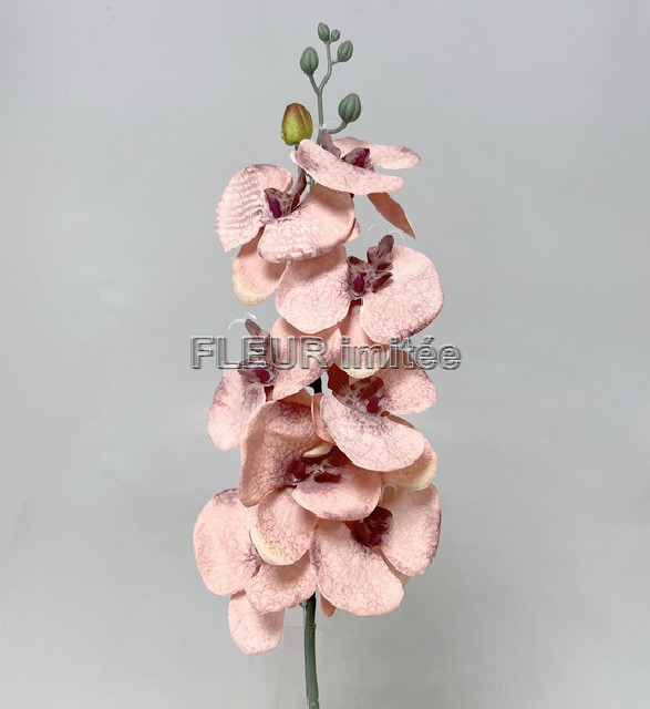 Orchidea  90cm latex  12/144