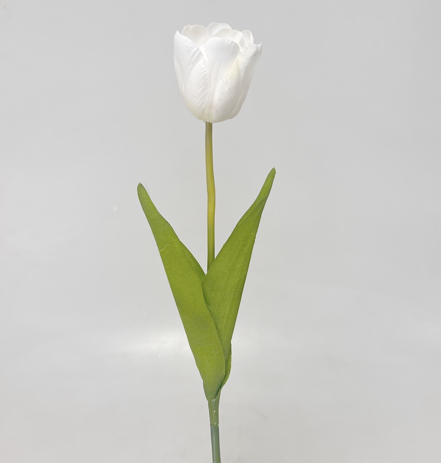 Tulipán x1 54cm 48/480