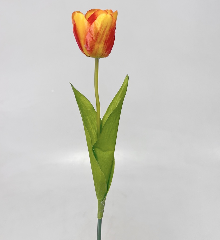 Tulipán x1 54cm 48/480