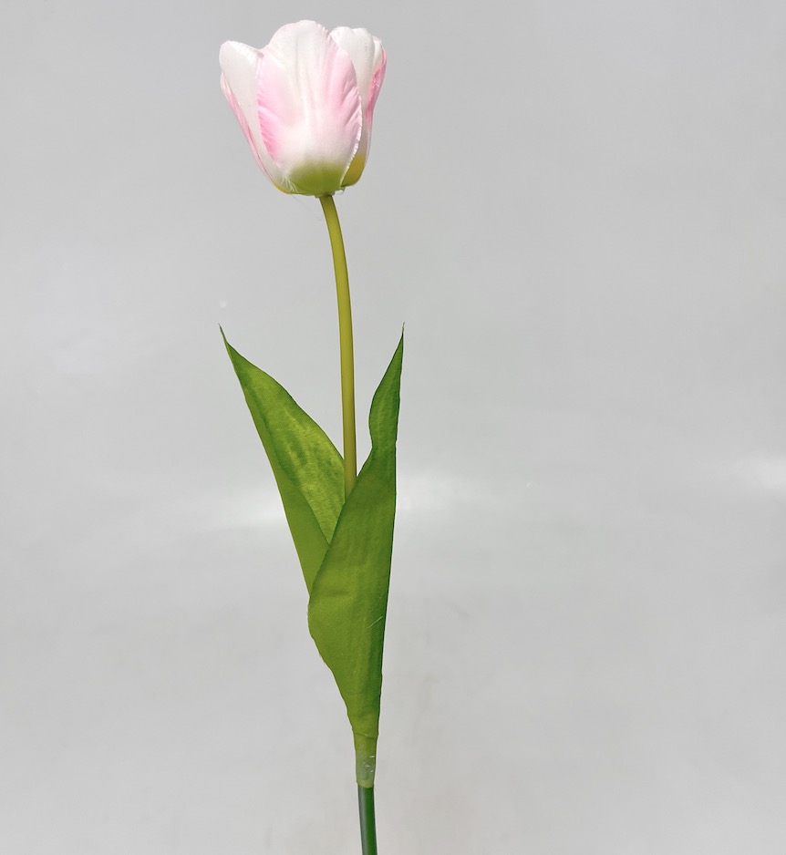 Tulipán x1 54cm 48/480