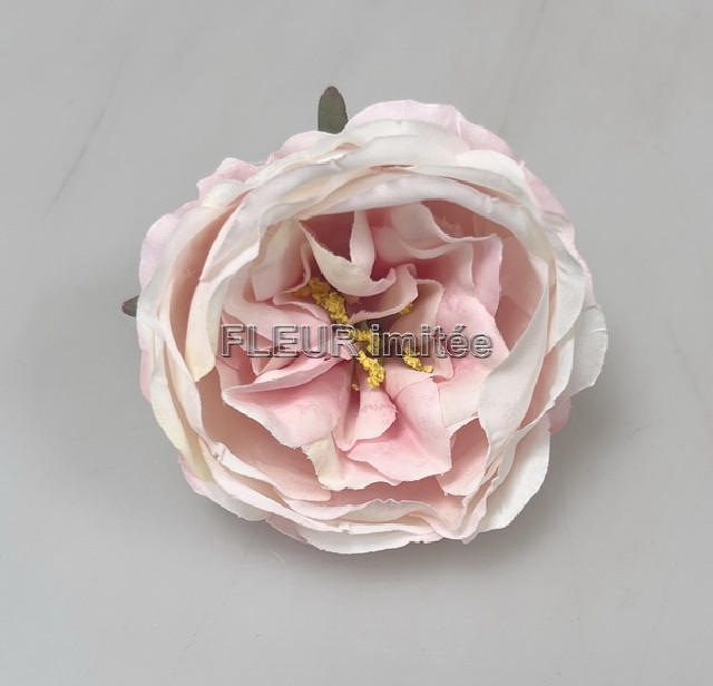 Květ růže ANGEL 7cm 12/720