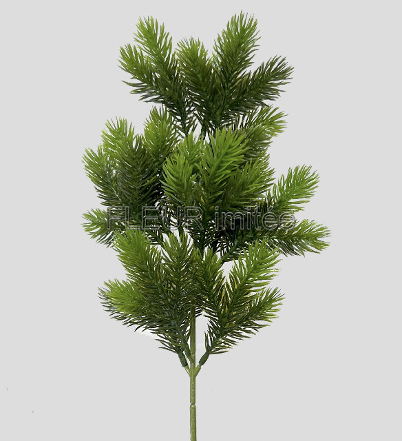 Chvojí 46cm 24/192