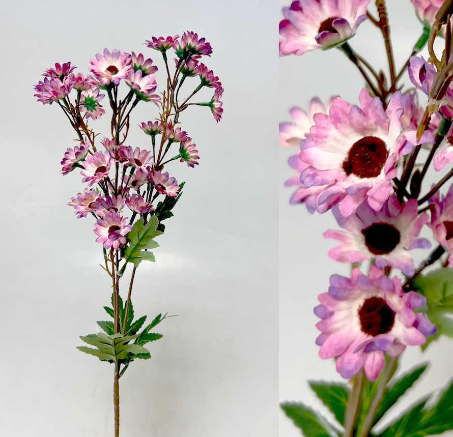 Čekanka 87cm  24/144