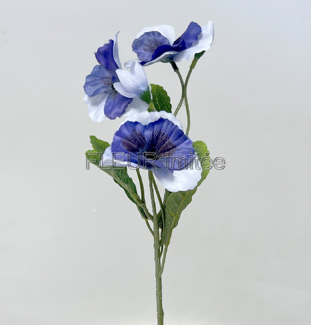 Maceška záp. 43cm 72/576