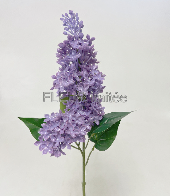 Šeřík x2 68cm latex 12/96