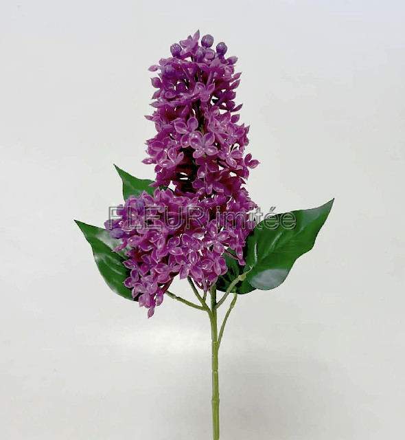 Šeřík x2 68cm latex 12/96