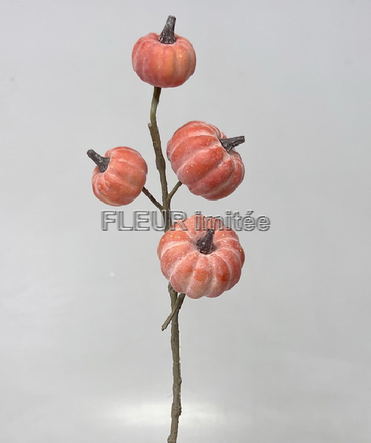 Dýně x4 63cm 16/96