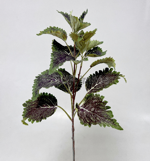 Kopřiva x2 72cm 12/72