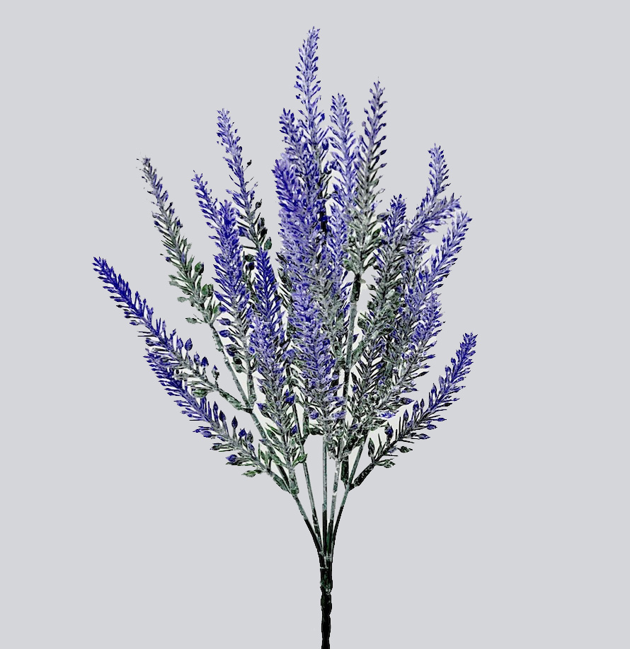 Levandule x5 36cm  12/36