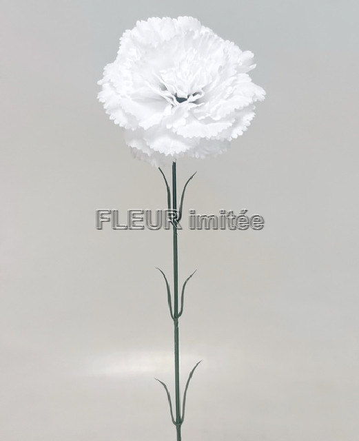 Karafiát x1 56cm 72/864