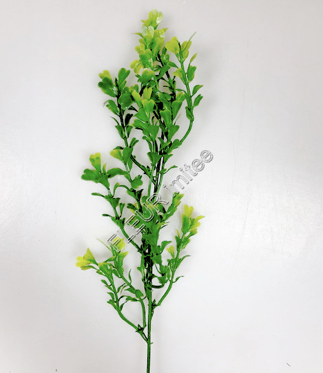 Buxus 42cm 24/576