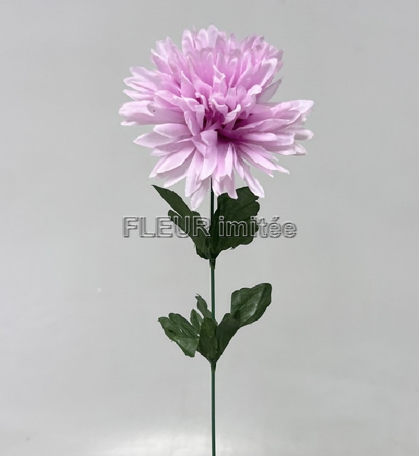 Chryzantéma x1 7cm/45cm   W841 12/144