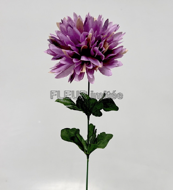 Chryzantéma x1 7cm/45cm   W841 12/144