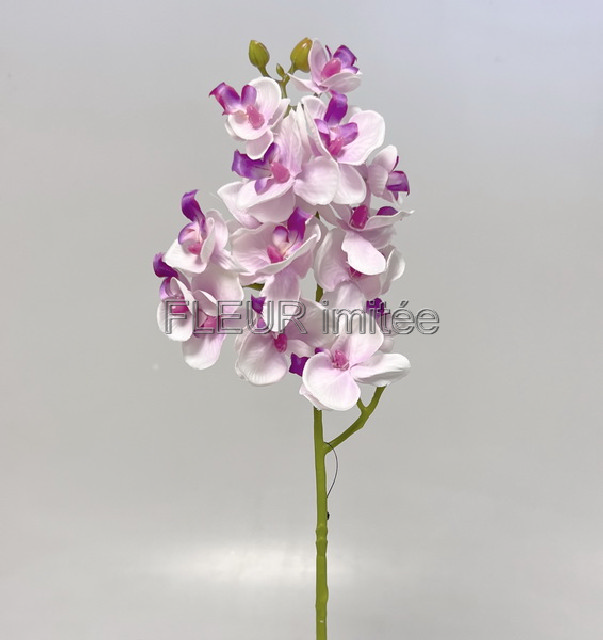 Orchidea x3  55cm 36/360