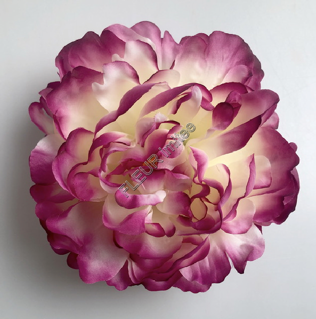 Květ pivoňka 16cm  12/360