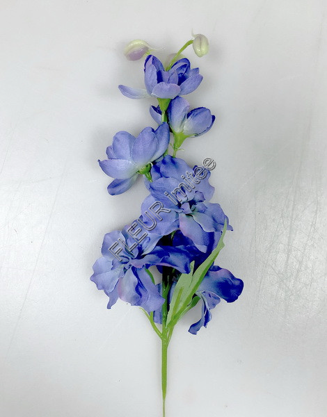 Delphinium záp.23cm S476 12/120