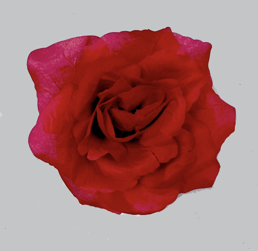 Květ růže 8cm France R 12/1728