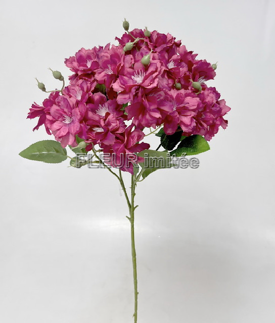 Azalka 76cm 24/192