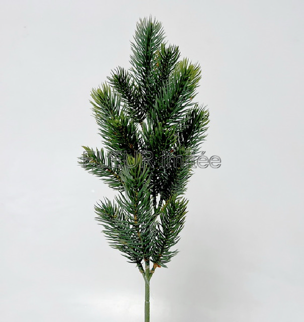 Chvojí větev  50cm 24/240