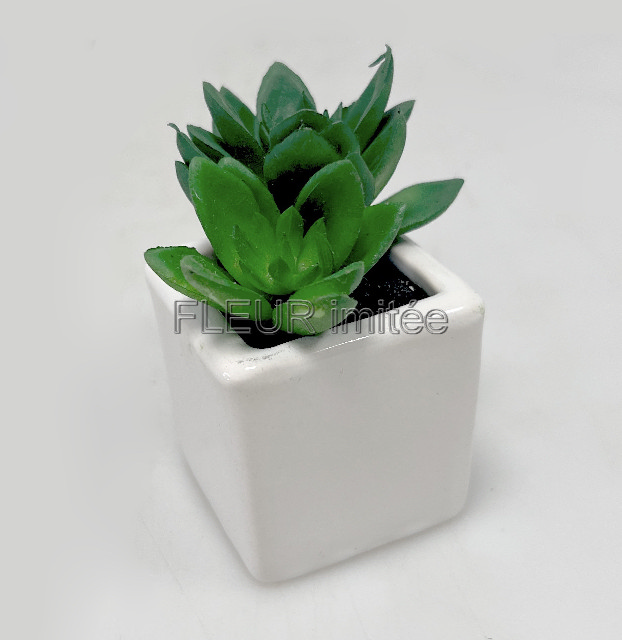 Sukulent mini 10cm vč.květníku