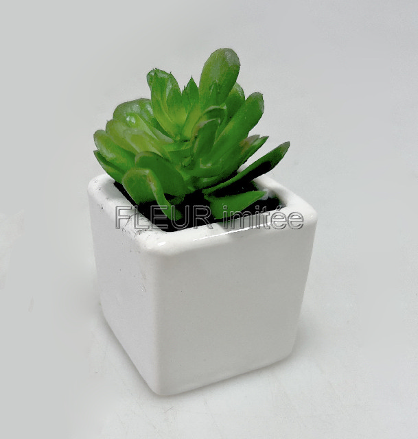 Sukulent mini 10cm vč.květníku