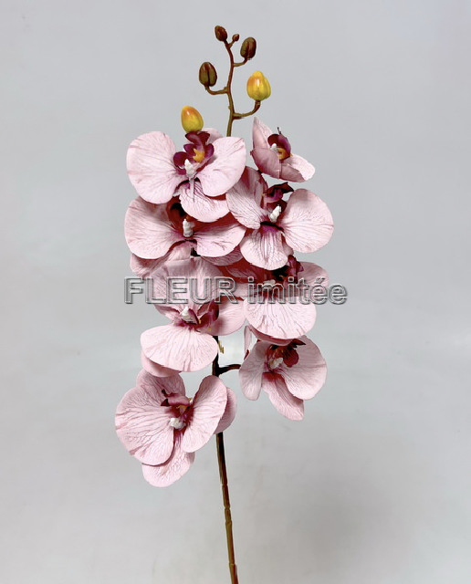 Orchidea  77cm   18264