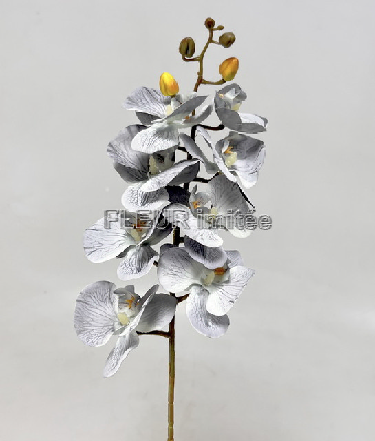 Orchidea  77cm   18264