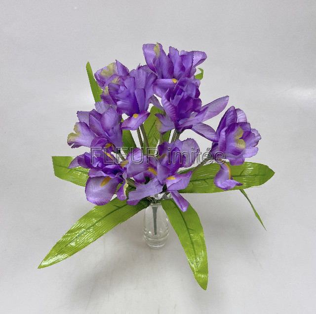 Iris x9  44cm   12/120