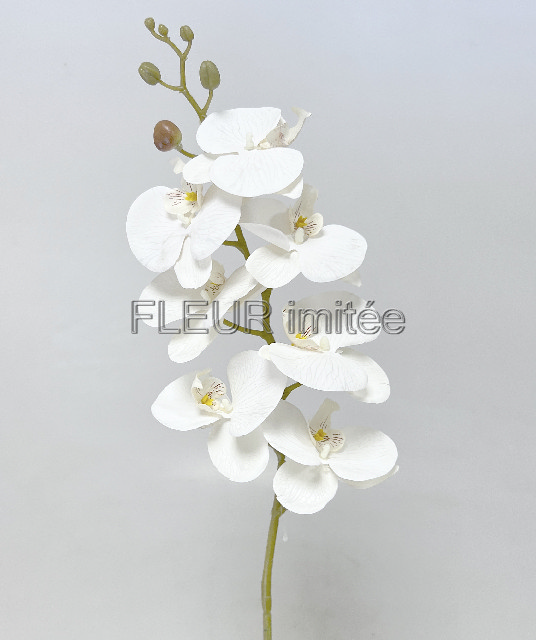 Orchidea 7kv. 90cm 24/192