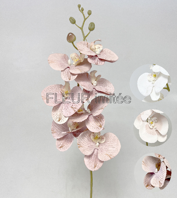 Orchidea 7kv. 90cm 24/192