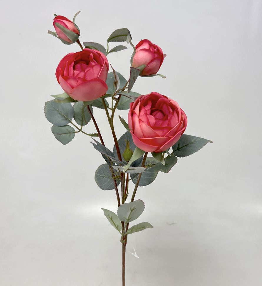 Růže x4 velvet  70cm 12/120