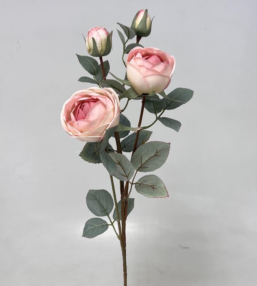 Růže x4 velvet  70cm 12/120
