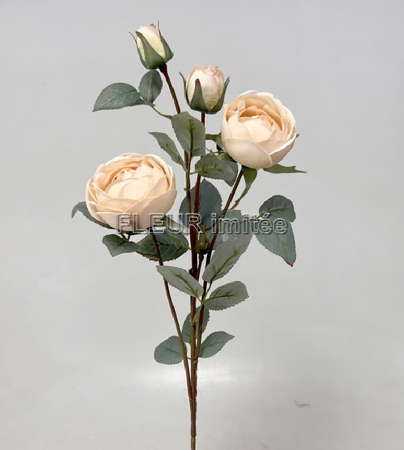 Růže x4 velvet  70cm 12/120