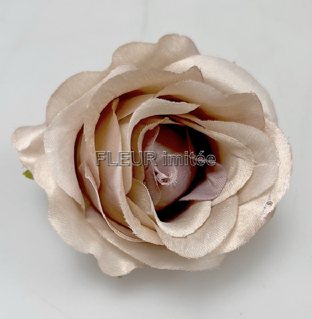 Květ růže Vivaldi  NEW 10cm 12/720