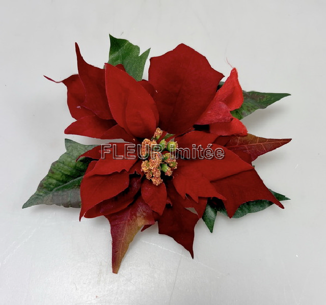 Květ poinsettia 21cm 12/288
