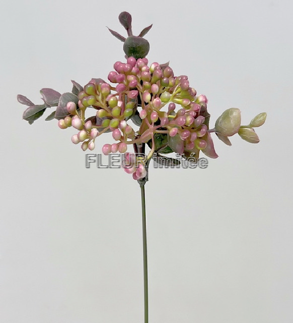 Bobulky  s eukal.28cm  12/72