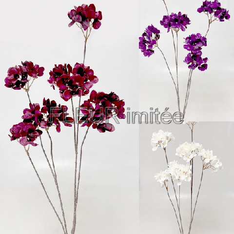 Hortenzie x6 70cm 12/48