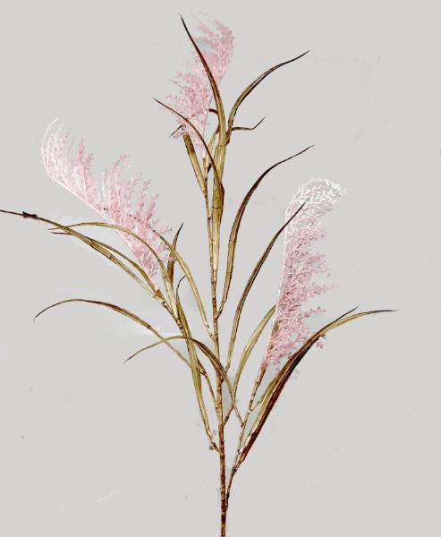 Tráva x3  120m  24/144