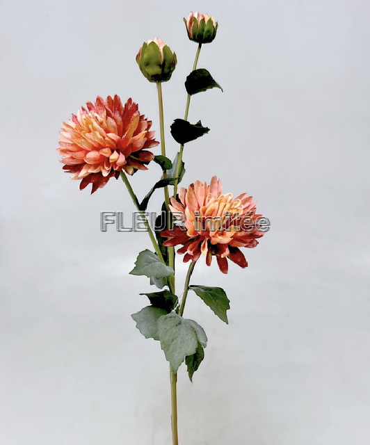 Chryzantéma x4  73cm  24/288