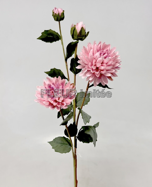 Chryzantéma x4  73cm  24/288