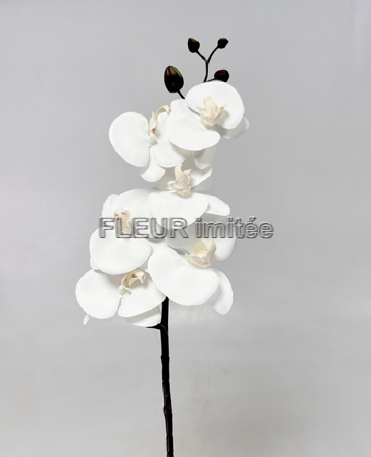 Orchidea 80cm latex 12/72